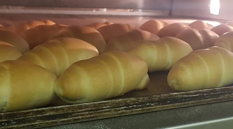 Panini morbidi arrotolati a spirale, dorati, dentro il forno